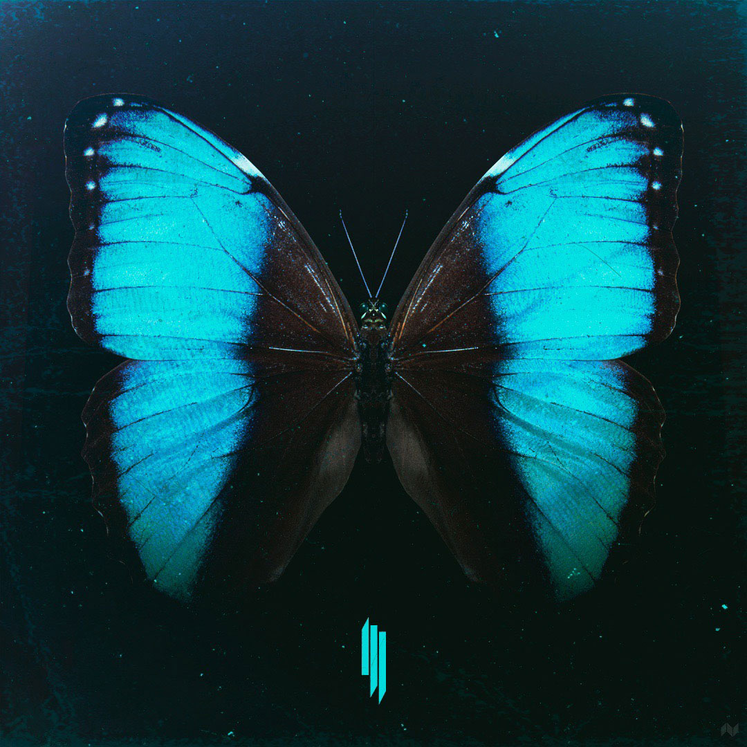 Butterflies [CONCEPT]